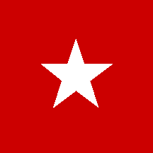 Army fin flash